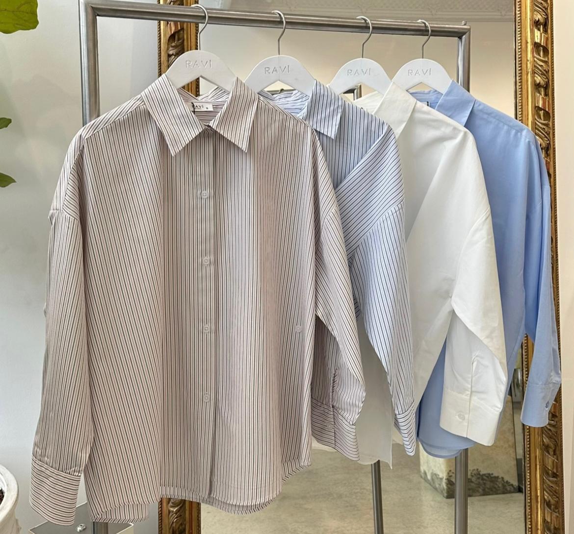 Shirt Rav Cotton